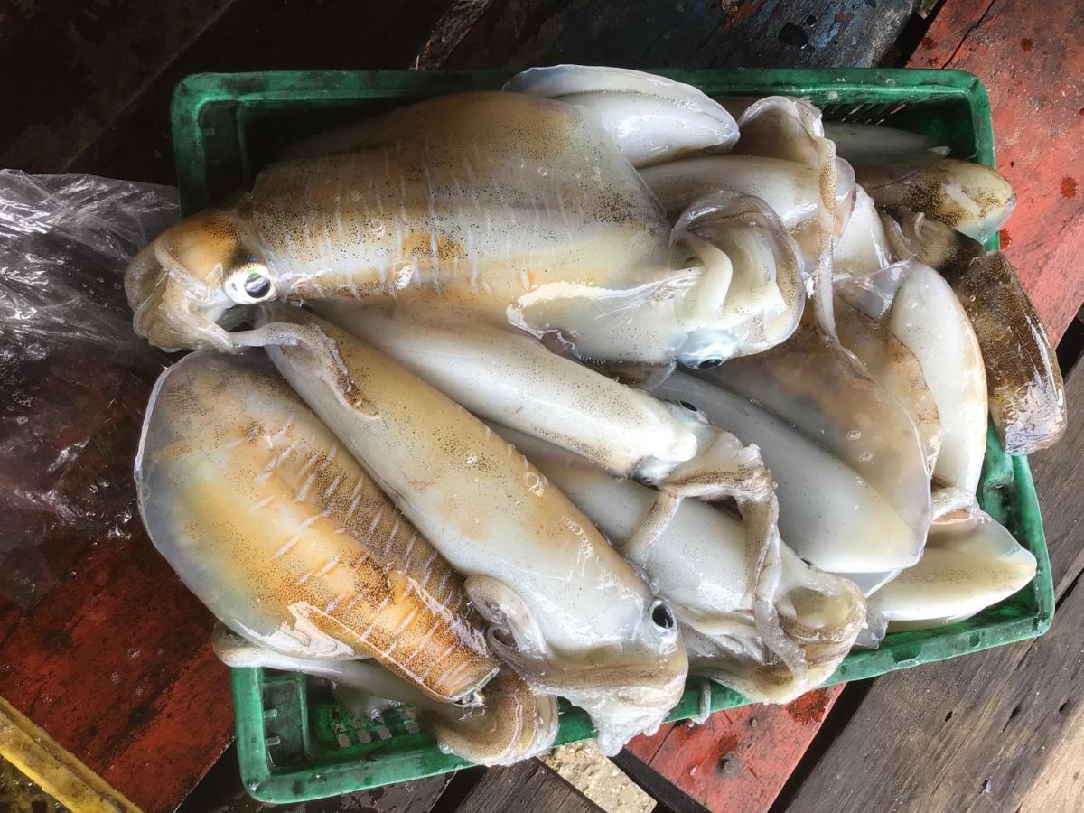 Homestay&Chaoleyseafoodrestaurant Ko Pu Екстериор снимка