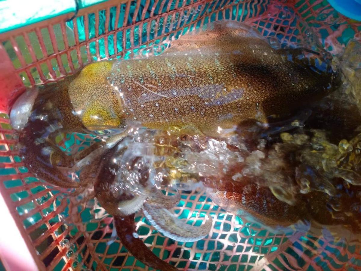 Homestay&Chaoleyseafoodrestaurant Ko Pu Екстериор снимка